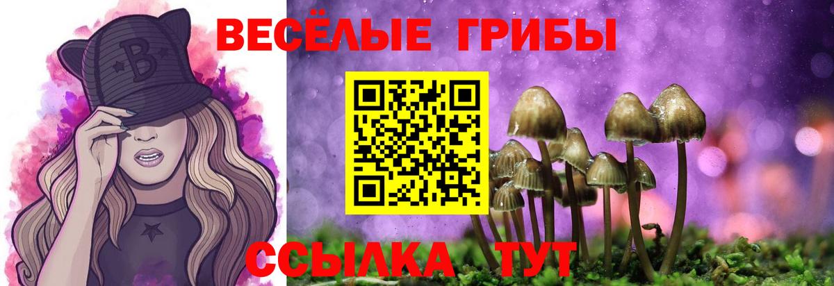 Псилоцибиновые грибы прущие грибы Волхов